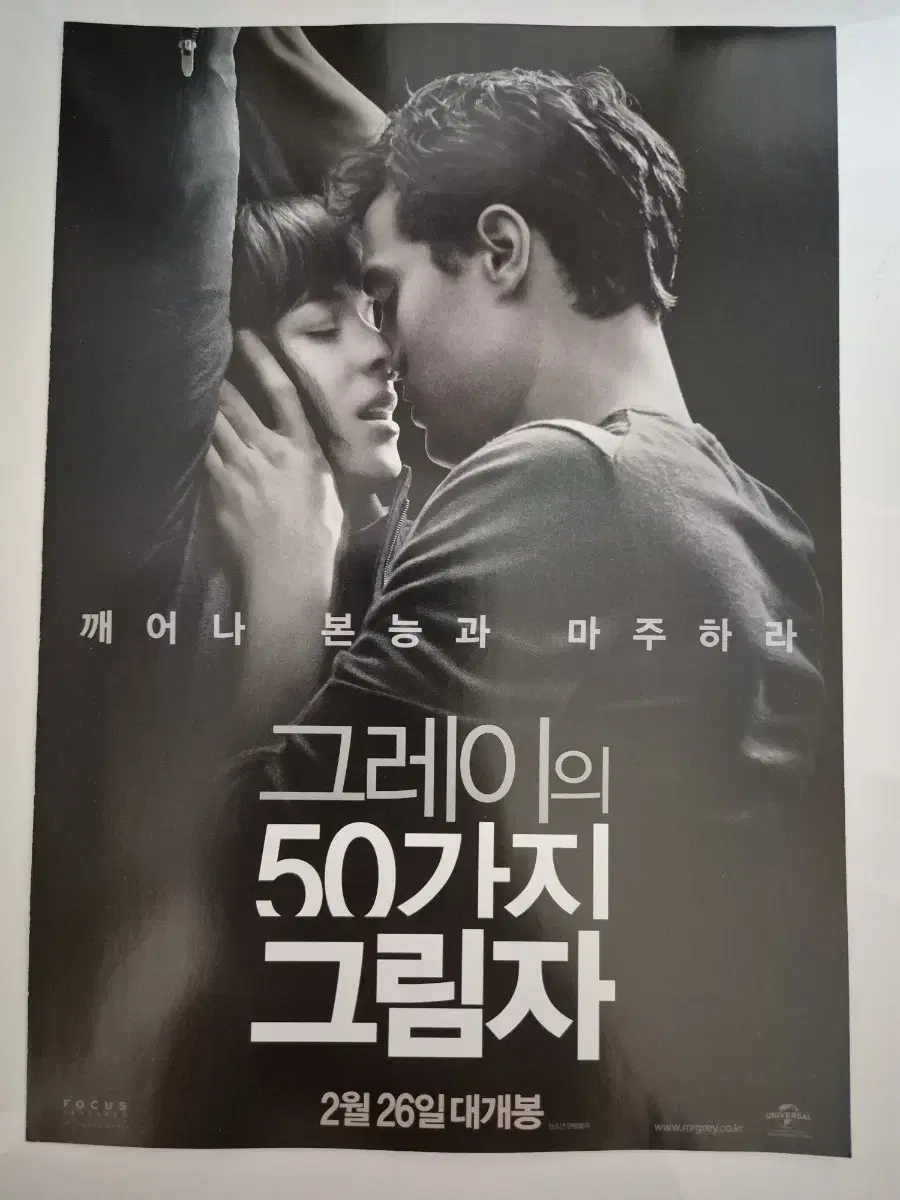 영화 그레이의 50가지 그림자 전단지 팜플렛